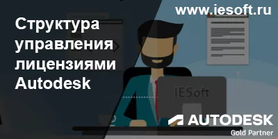 Структура управления лицензиями Autodesk Структура управления лицензиями Autodesk